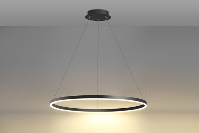 Светильник подвесной RING 50 B