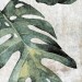 ZYX Amazonia Emerald Matt 13.8x13.8 220960