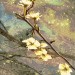 Ковер Hunnu 6A1555-165 300x500
