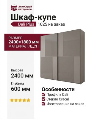 Шкаф-купе Dali Plus 1025