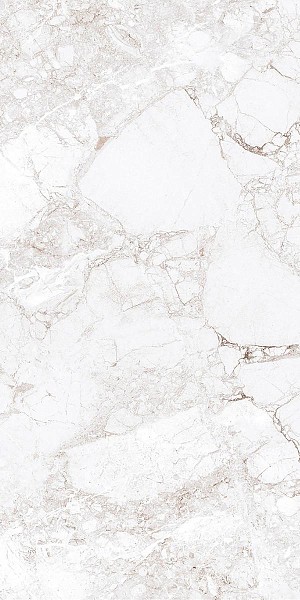 Progress ROSSALIA NATURAL керамогранит полированный 60х120 см AB 1171G