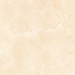 Staro Tech Polished Marfil Beige 80x240 С0004963