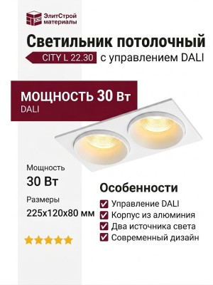 Светильник потолочный CITY L 22.30 W 2FW DALI