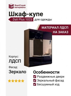 Шкаф-купе Dali Plus 1023