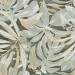 NAXOS Alchymie Exotic Nat Ret 60x120 133487