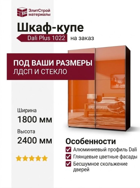 Шкаф-купе Dali Plus 1022