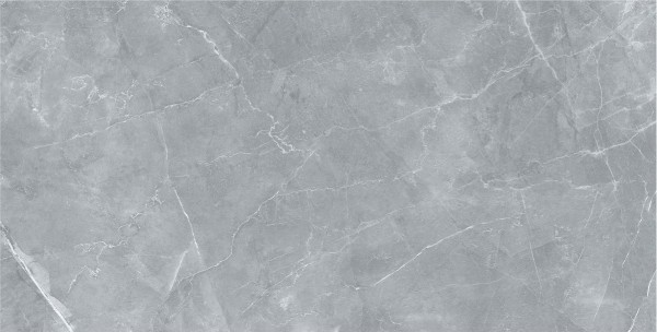 Staro Palacio Armany Polished 60x120 С0003994