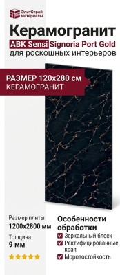 ABK Sensi Signoria Port Gold Lux Ret 120x280 PF60008841