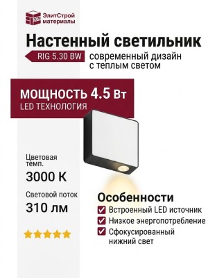 Светильник настенный RIG 5.30 BW