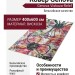 Ковер Genova 38182-6161/61 400x600