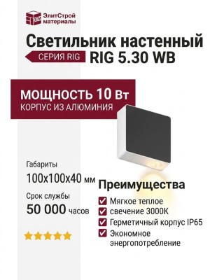 Светильник настенный RIG 5.30 WB