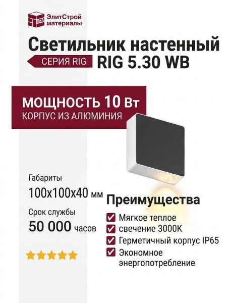 Светильник настенный RIG 5.30 WB