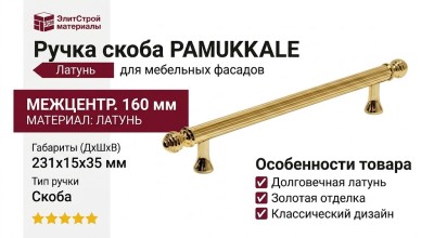 Ручка скоба PAMUKKALE-01-09 160 мм латунь, материал Латунь, отделка Золото, 231*15*35 мм