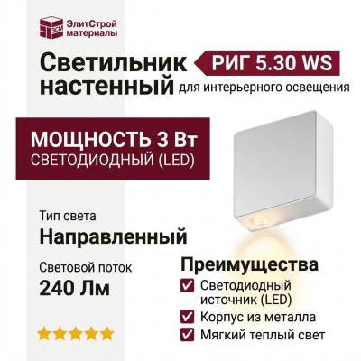 Светильник настенный RIG 5.30 WS