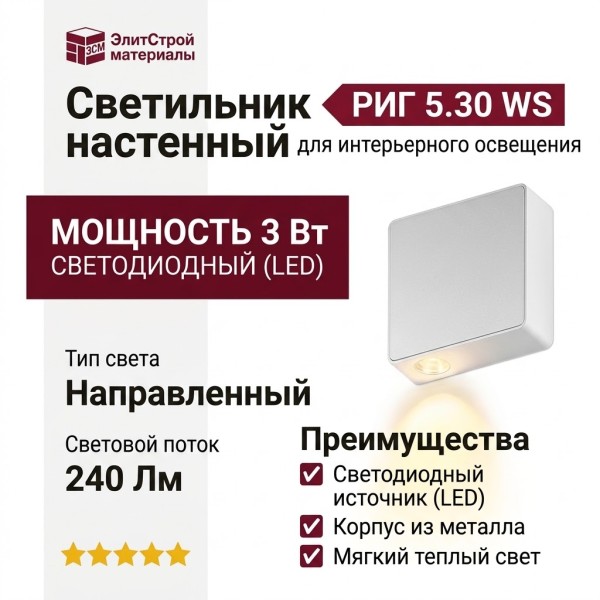 Светильник настенный RIG 5.30 WS