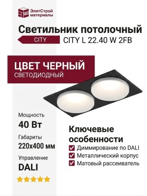 Светильник потолочный CITY L 22.40 W 2FB DALI