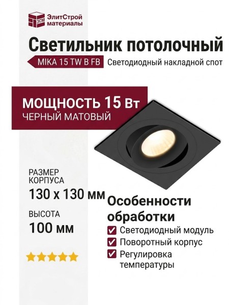 Светильник потолочный MIKA 15 TW B FB