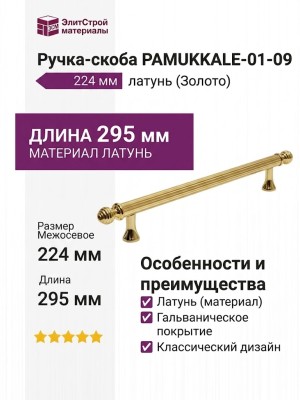 Ручка скоба PAMUKKALE-01-09 224 мм латунь, материал Латунь, отделка Золото, 295*15*35 мм