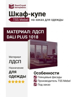 Шкаф-купе Dali Plus 1018