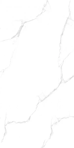Керамогранит Maimoon Ceramica Maimoon Silver satuario 120х60 см