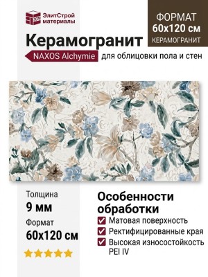 NAXOS Alchymie Silky Nat Ret 60x120 133485