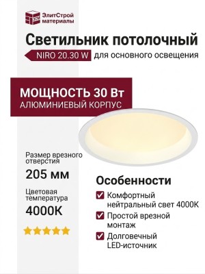 Светильник потолочный NIRO 20.30 W