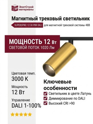 Магнитный трековый светильник SUPERSPIKE 12.30 PBR DALI