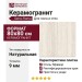 ABK Sensi Roma Ivory Nat 80x80 PF60014709