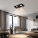 Светильник потолочный CITY L 22.30 B 2FB NO DIM
