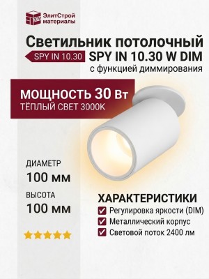 Светильник потолочный SPY IN 10.30 W DIM