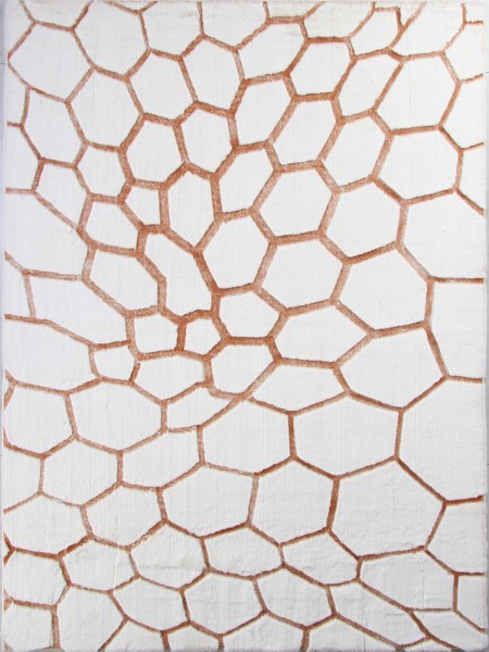 Ковер Rabbit carving PX4003 cream/terra 200x290