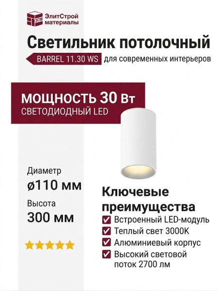Светильник потолочный BARREL 11.30 WS