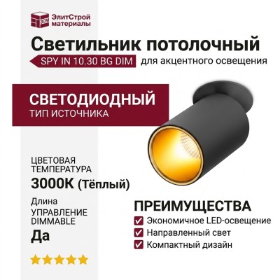 Светильник потолочный SPY IN 10.30 BG DIM