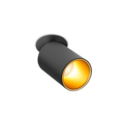 Светильник потолочный SPY IN 10.30 BG DIM