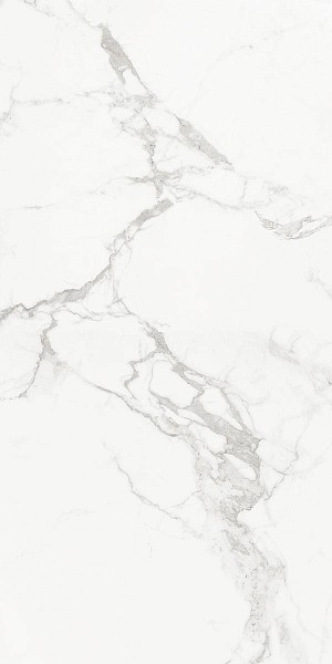 Progress CARRARA CLASSIC  керамогранит полированный 120x60 см  AB 1112G