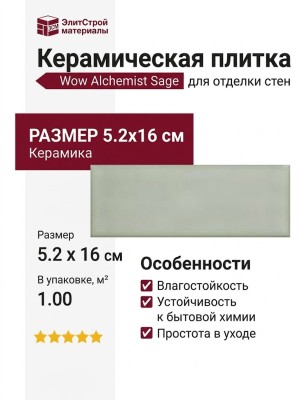 Wow Alchemist Sage 5.2x16 124115