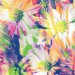 Ковер Funky Top Mag honey 200x280