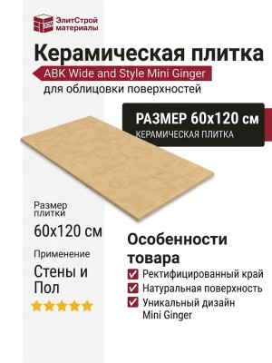 ABK Wide and Style Mini Ginger Ret 60x120 PF60008231
