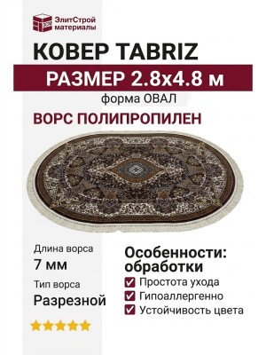 Ковер Tabriz 25744-29733 овал 280x480