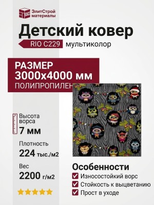 Ковер RIO C229 multicolor 300x400