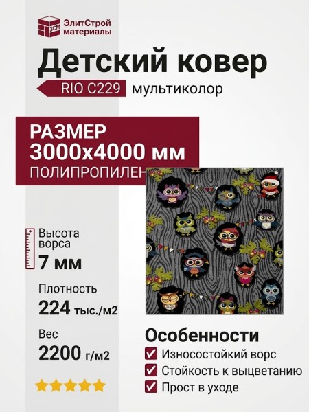 Ковер RIO C229 multicolor 300x400
