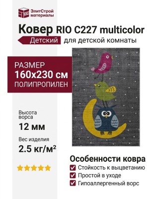 Ковер RIO C227 multicolor 160x230