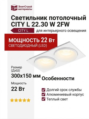 Светильник потолочный CITY L 22.30 W 2FW